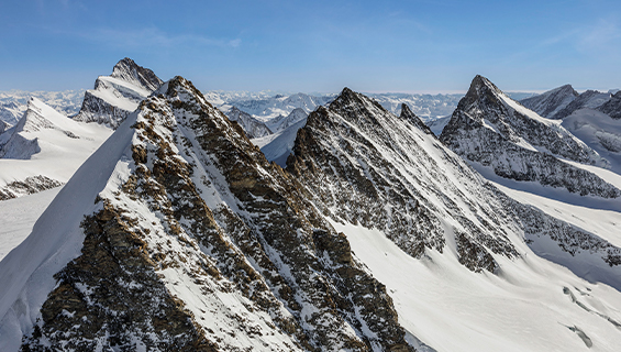 Gross Fieschhorn 