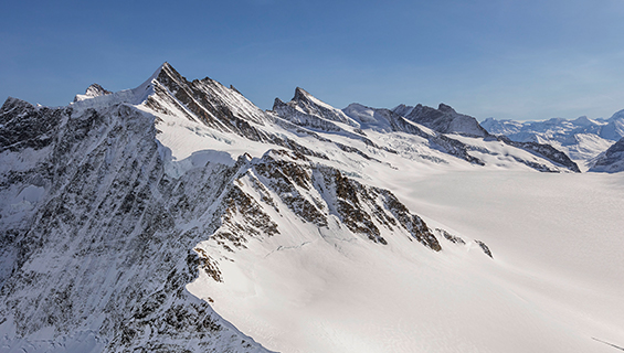 Fieschhorn 